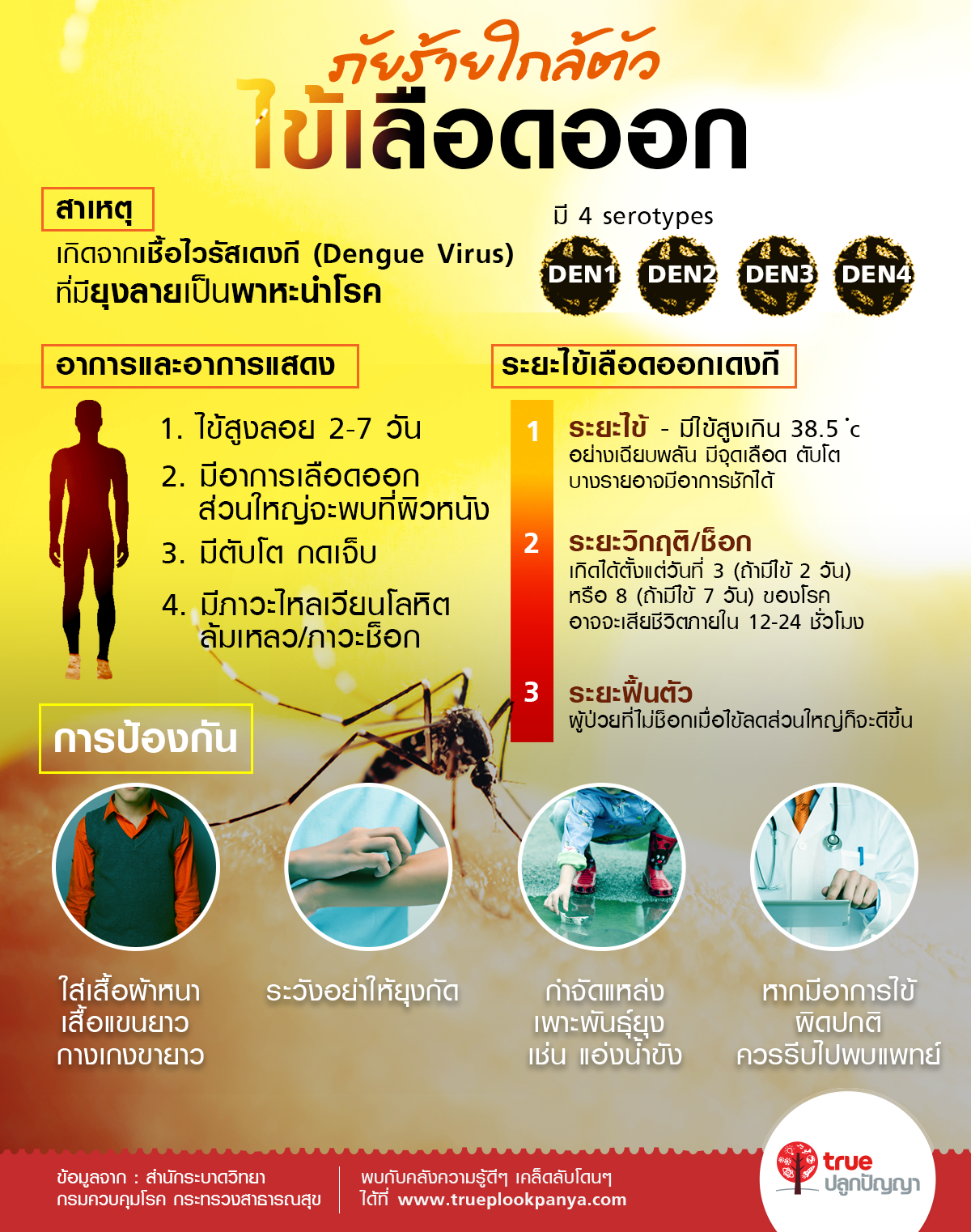 รู้ทันไข้เลือดออก