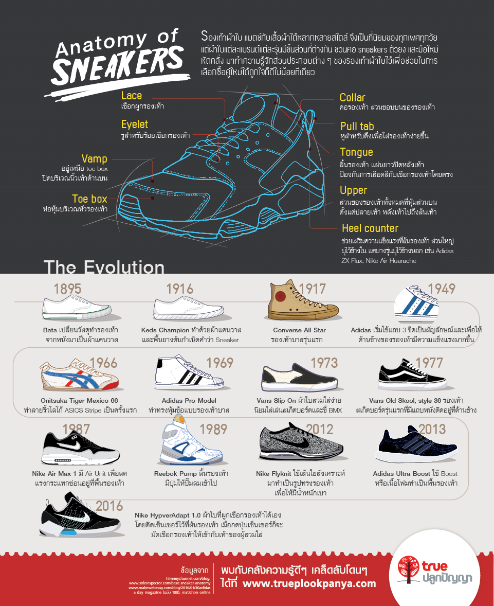 มาทำความรู้จักส่วนประกอบต่าง ๆ ของ Sneakers