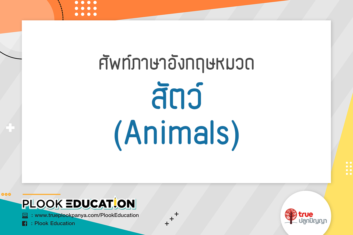 Flash Card ศัพท์ภาษาอังกฤษ ป. 3 หมวด สัตว์ (Animals) | TruePlookpanya Flash Card ศัพท์ภาษาอังกฤษ ป. 3 หมวด สัตว์ (Animals) | Trueplookpanya