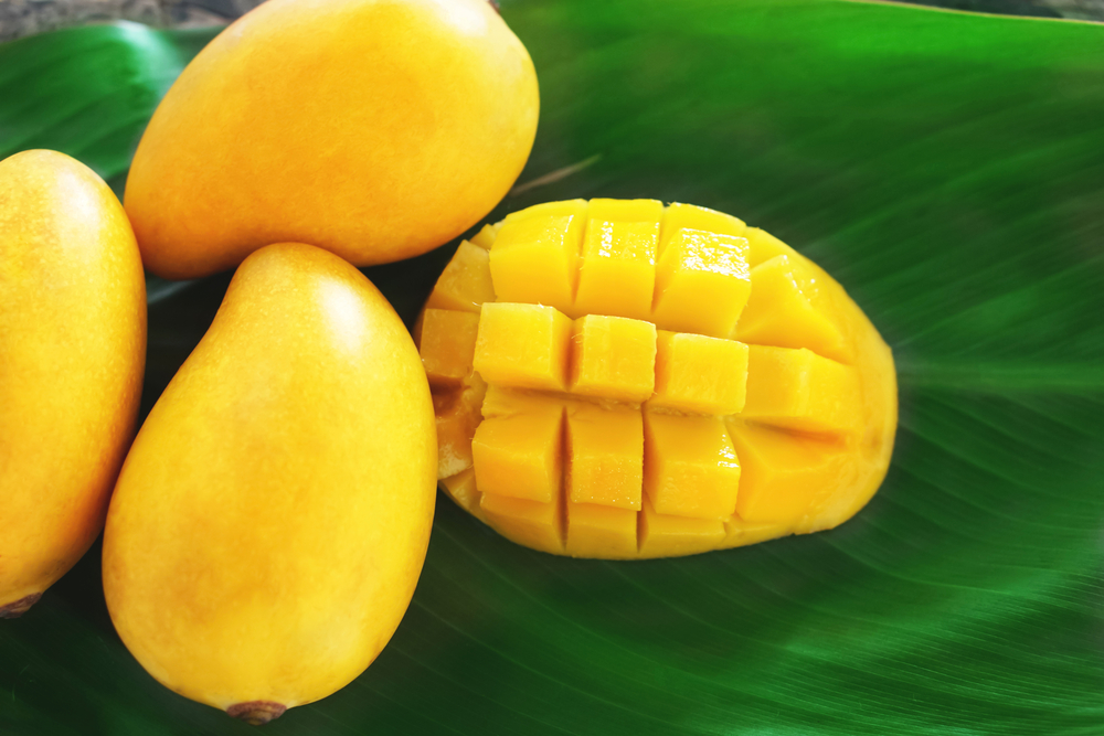 Манго желтое и зеленое разница. Манго ripe Mango. Манго желтое КНР. Манго желтое тайское. Желтый фрукт из Тайланда.