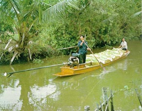 การขนส่งองุ่นทางน้ำ