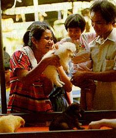 ครอบครัวเล่นกัน