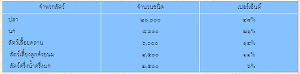 จำพวกสัตว์