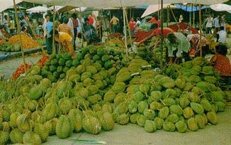 ตลาดผลไม้