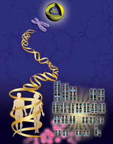 ธาลัสซีเมีย