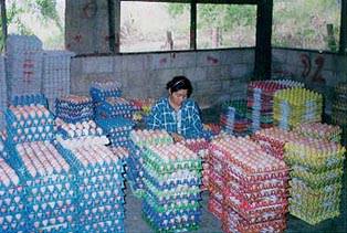 ผลผลิตของหมู่บ้านสหกรณ์