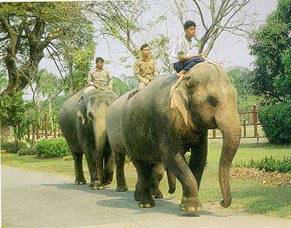 พระบรมนัขทัศฯ
