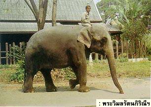 พระวิมลรัตนกิริณีฯ