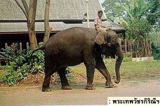 พระเทพวัชรกิริณีฯ