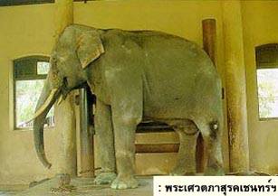 พระเศวตภาสุรคเชนทร์ฯ
