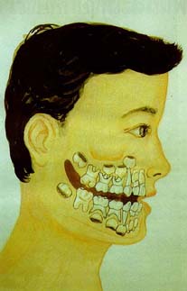 รูปฟน