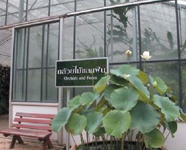สวนพฤกษศาสตร์สมเด็จพระนางเจ้าสิริกิติ์