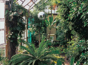 สวนพฤกษศาสตร์ Jardin D'Omement