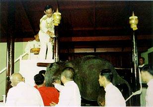 หลั่งน้ำพระพุทธมนต์
