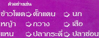 ห่วงโซ่อาหาร