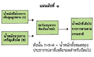 แผนผังที่ 1