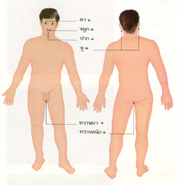 แผนภาพทวารทั้ง 9