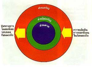 แผนภาพแสดงลักษณะของก้อนมะเร็ง  