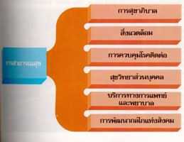 แผนภูมิแสดงความหมายของการสาธารณสุข