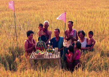 พิธีทำขวัญข้าว มีบททำขวัญข้าว