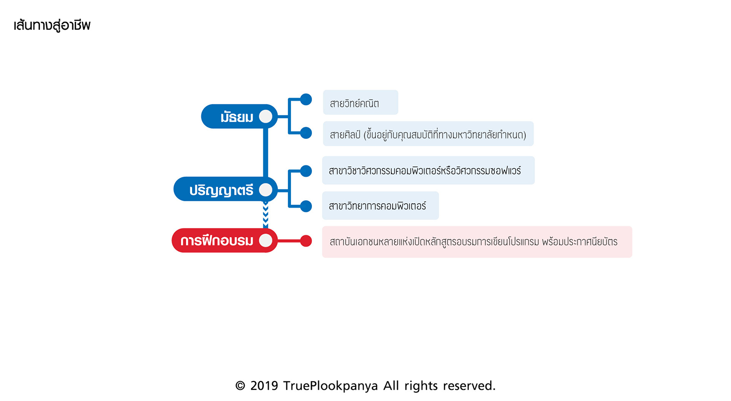โปรแกรมเมอร์ โปรแกรมเมอร์