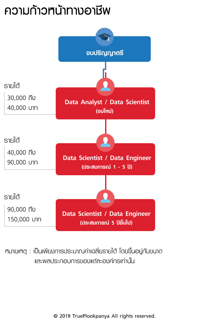 นักวิทยาศาสตร์ข้อมูล (Data Scientist)