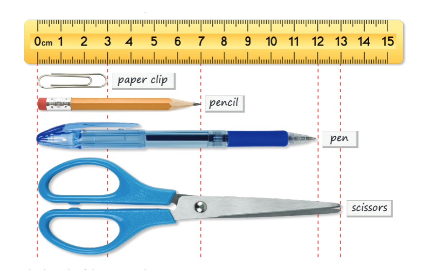 Units of Length - Centimetre