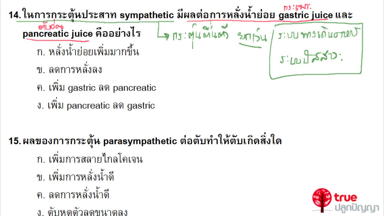 ชีววิทยา ม.4-6 เรื่อง ระบบประสาทของสัตว์มีกระดูกสันหลัง ตอนที่ 7