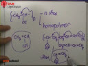 Polymer ตอนที่ 5